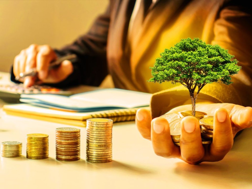 Mutual Funds